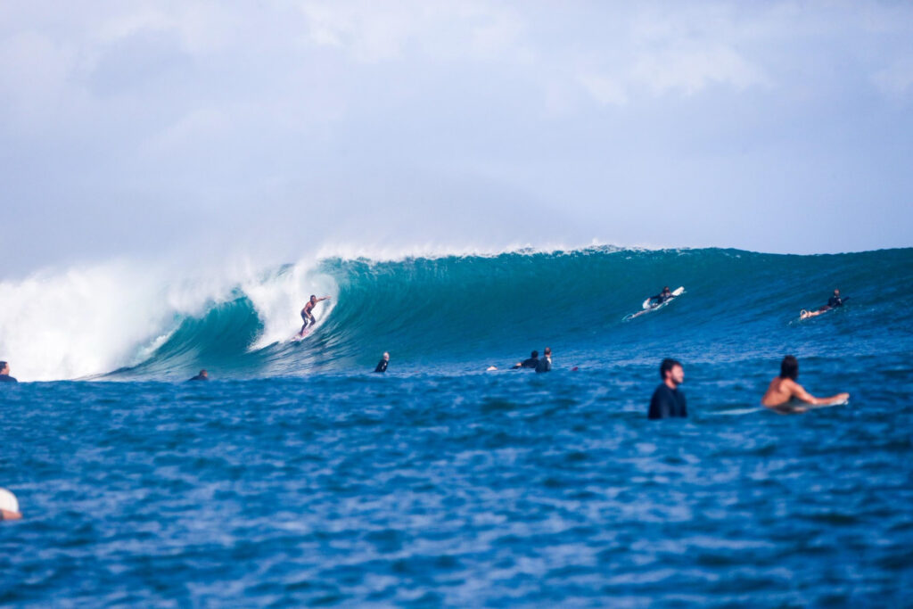 Kauai Surf, Raptorcorn Surfboards